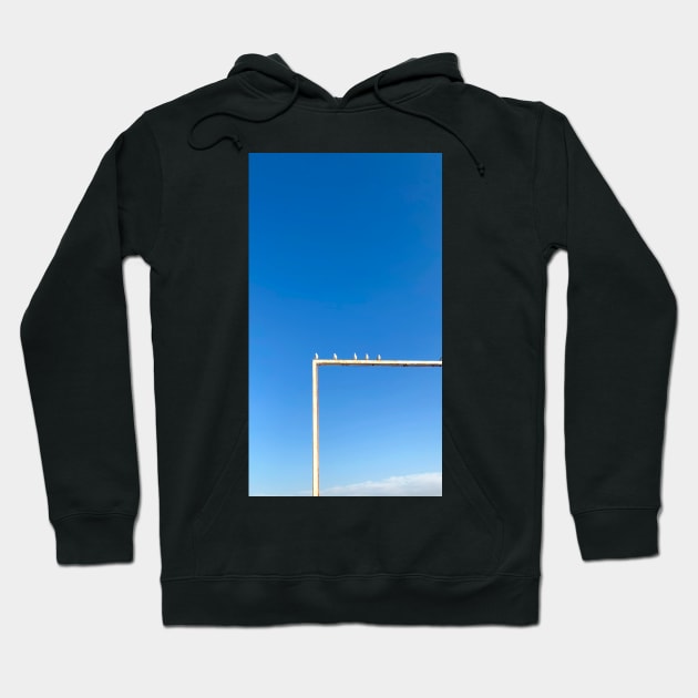 Seagulls sit on a pipe Hoodie by taya-stdnk